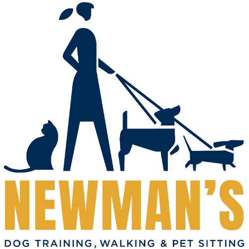 Newman's Dog Training footer logo woman cat 2 dogs on leash 